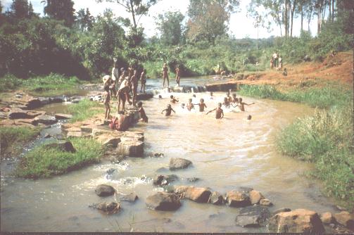 the_famous_adari_natural_swiming_pool.jpg